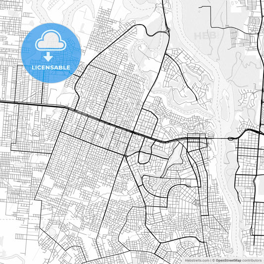 Vector PDF map of Ciudad del Este, Paraguay