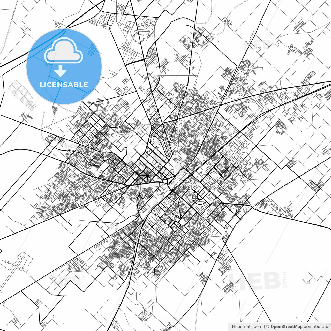 Vector PDF map of Faisalabad, Pakistan