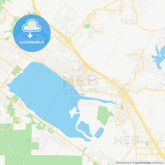 Empty vector map of Lake Elsinore, California, USA