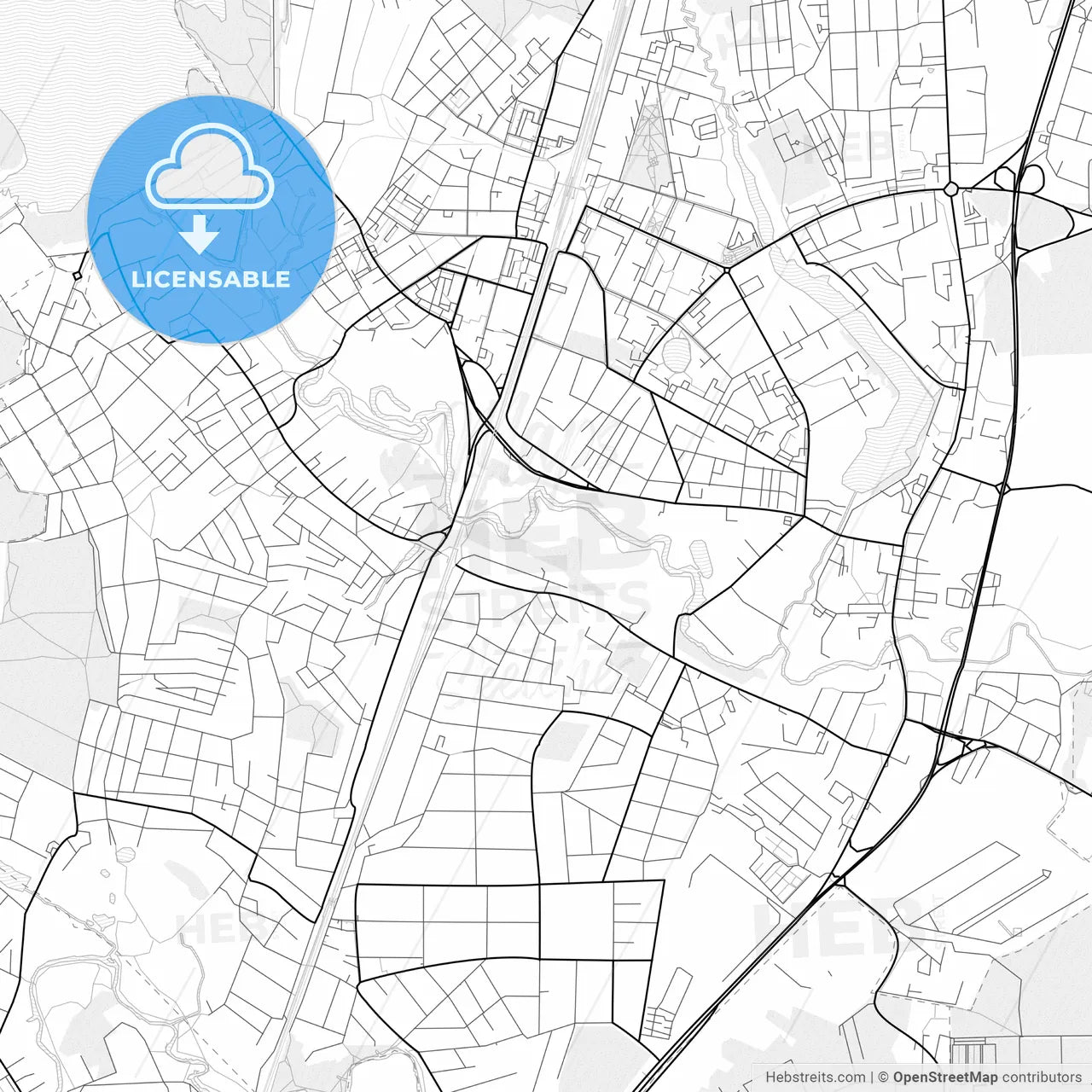 Vector PDF map of Pushkino, Russia