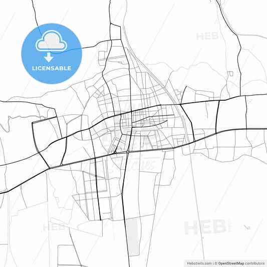 Vector PDF map of Nazilli, Turkey