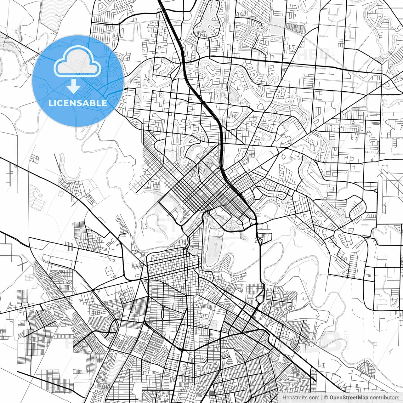 Vector PDF map of Brownsville, Texas, United States