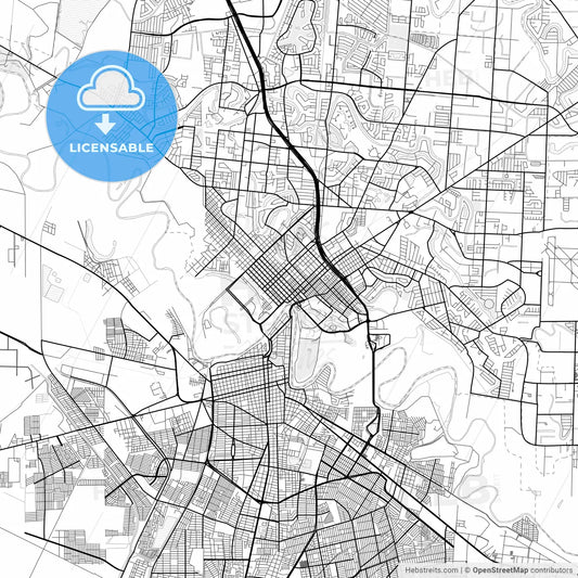 Vector PDF map of Brownsville, Texas, United States