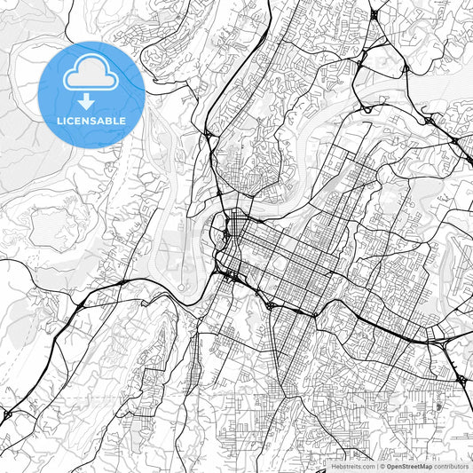 Vector PDF map of Chattanooga, Tennessee, United States