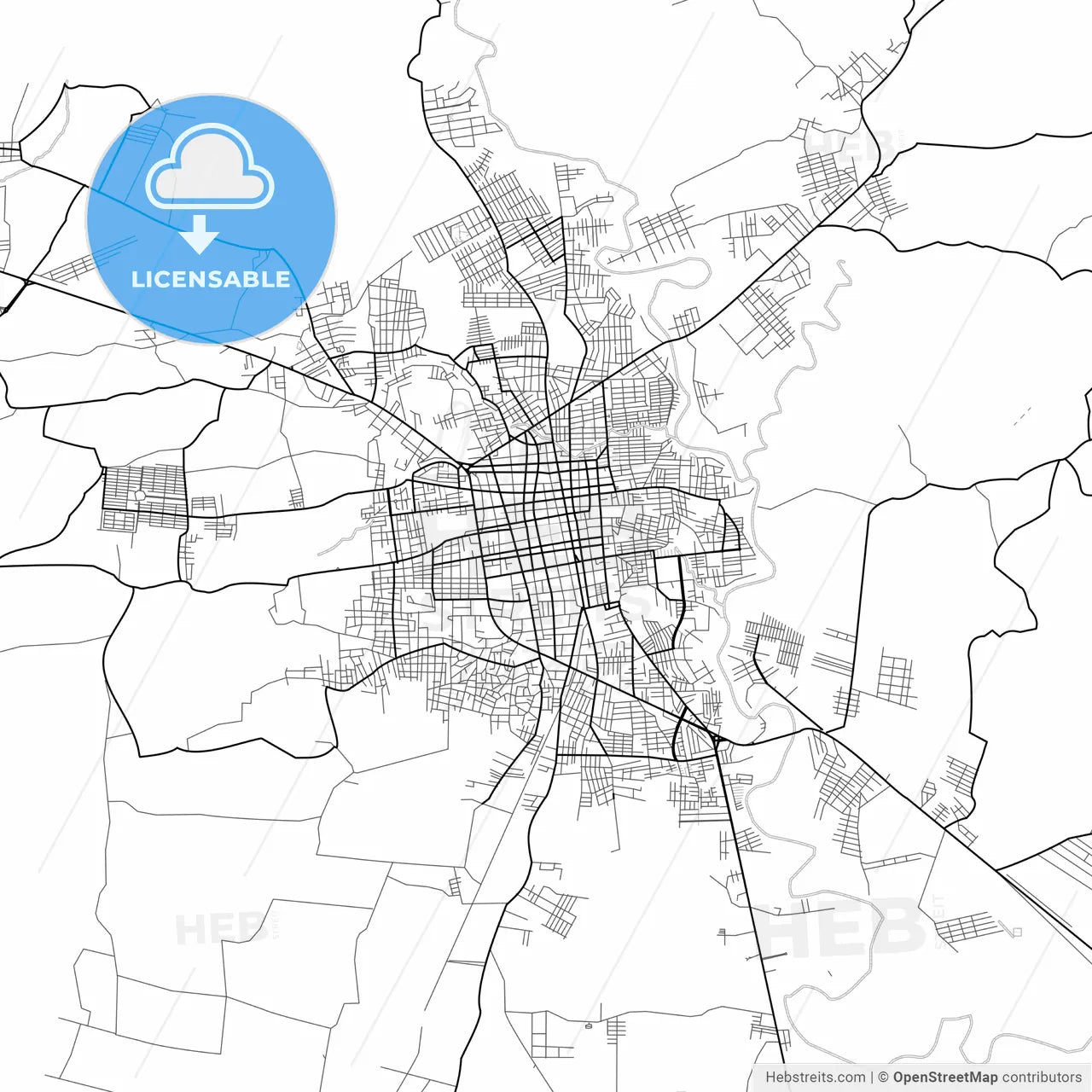 Vector PDF map of San Miguel, El Salvador