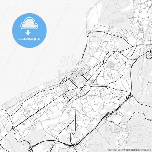 Vector PDF map of Thonon-les-Bains, France