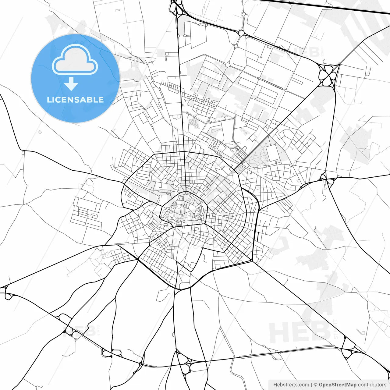 Vector PDF map of Andria, Italy