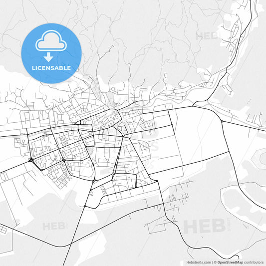 Vector PDF map of Baia Mare, Romania