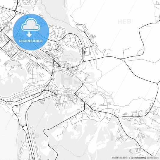 Vector PDF map of Petropavlovsk-Kamchatsky, Russia