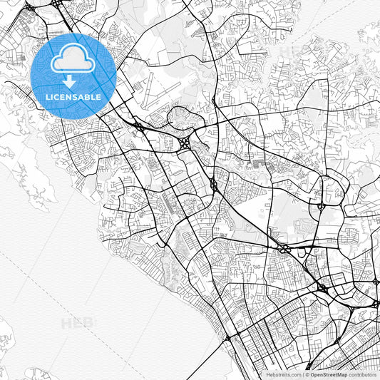 Vector PDF map of Newport News, Virginia, United States