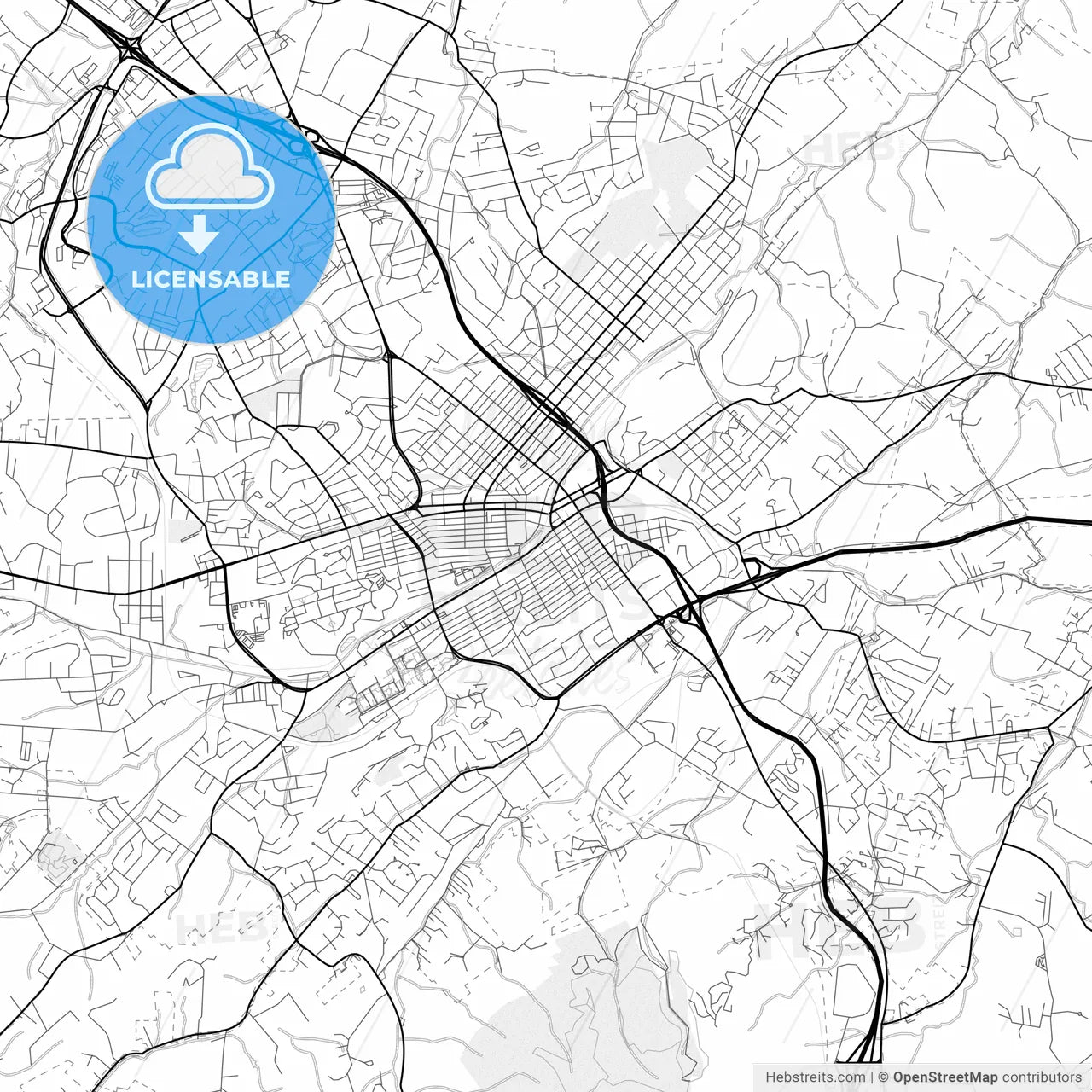 Vector PDF map of Johnson City, Tennessee, United States