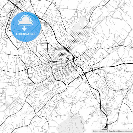 Vector PDF map of Johnson City, Tennessee, United States