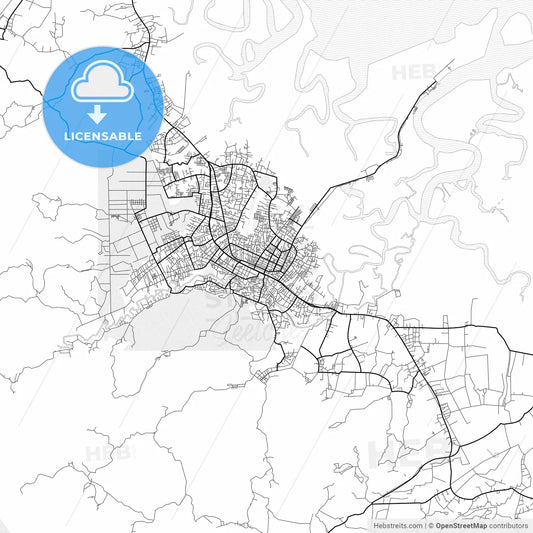 Vector PDF map of Langsa, Indonesia