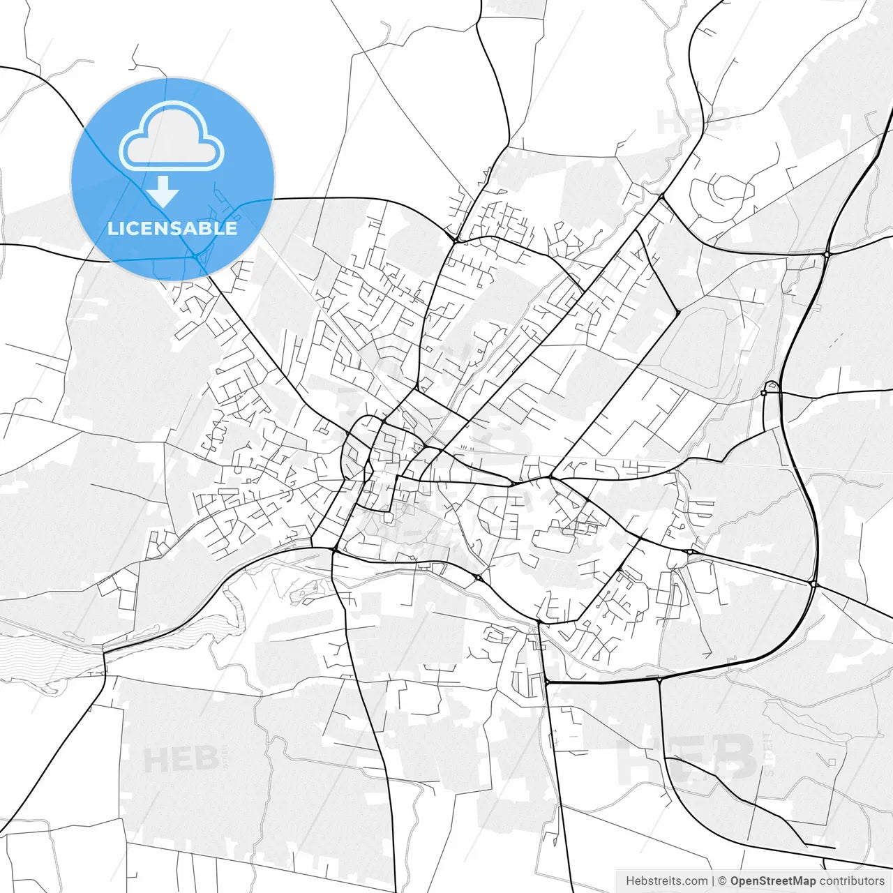 Vector PDF map of Tralee, Ireland