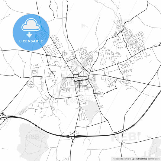 Vector PDF map of Port Laoise, Ireland