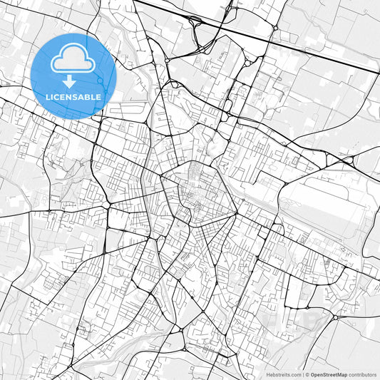 Vector PDF map of Reggio Emilia, Italy