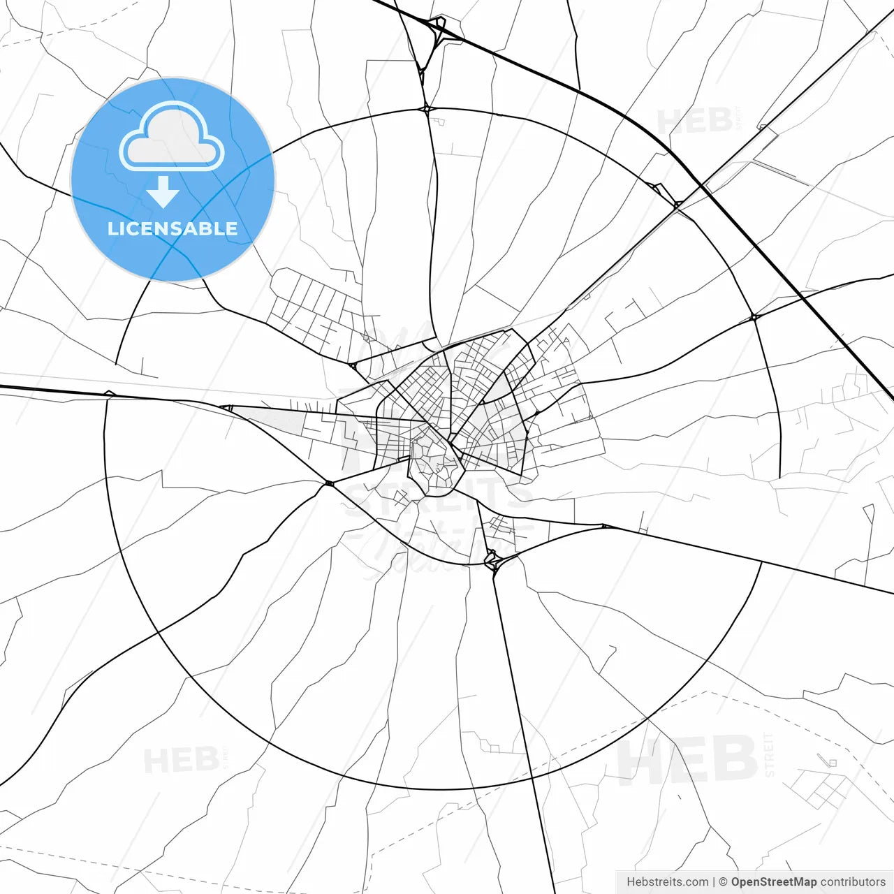Vector PDF map of Bitonto, Italy