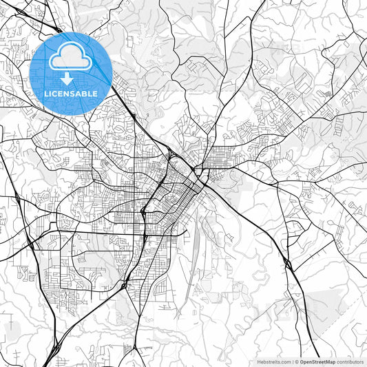 Vector PDF map of Macon, Georgia, United States