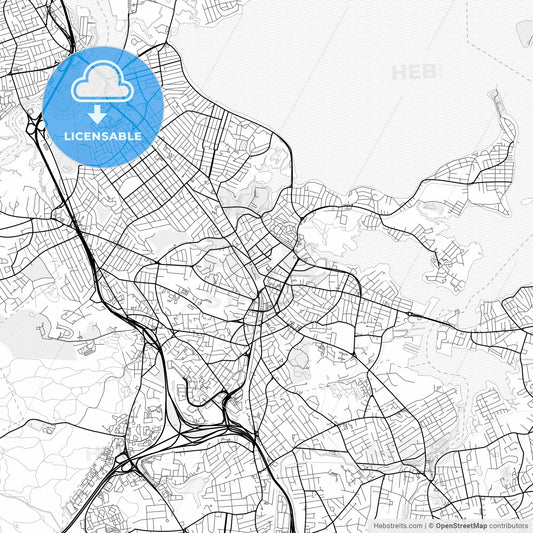 Vector PDF map of Quincy, Massachusetts, United States