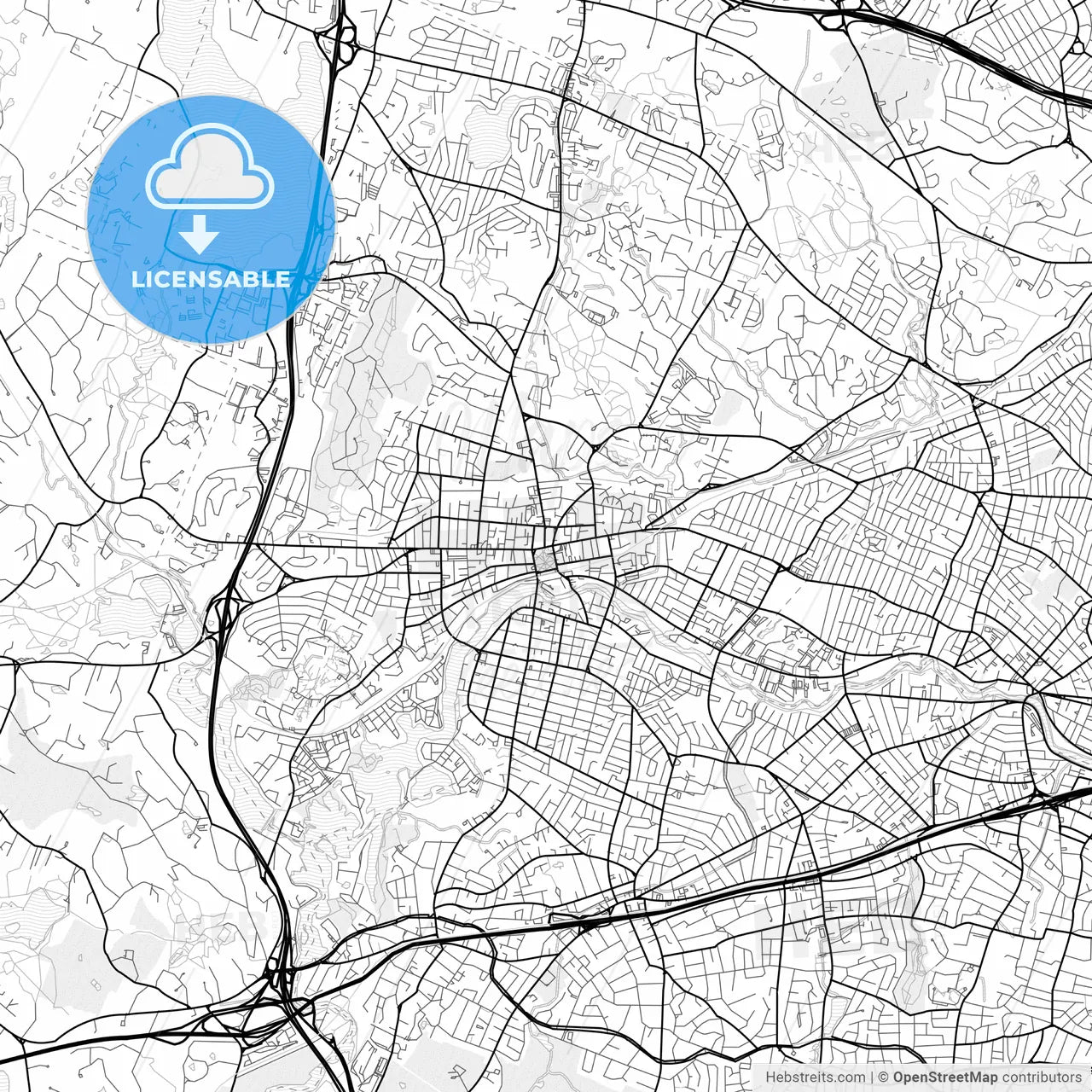 Vector PDF map of Waltham, Massachusetts, United States