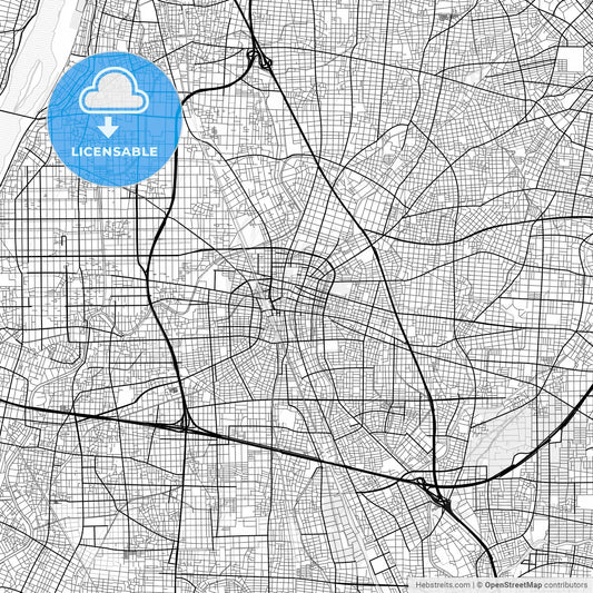 Vector PDF map of Ichinomiya, Japan
