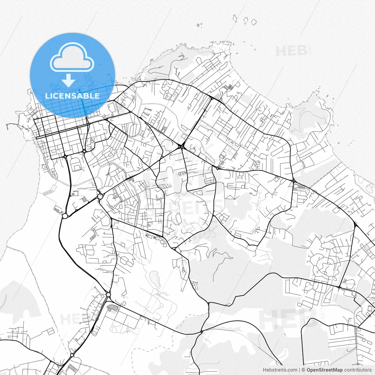 Vector PDF map of Cayenne, France