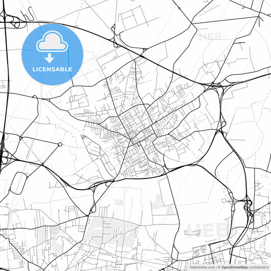 Vector PDF map of Acerra, Italy
