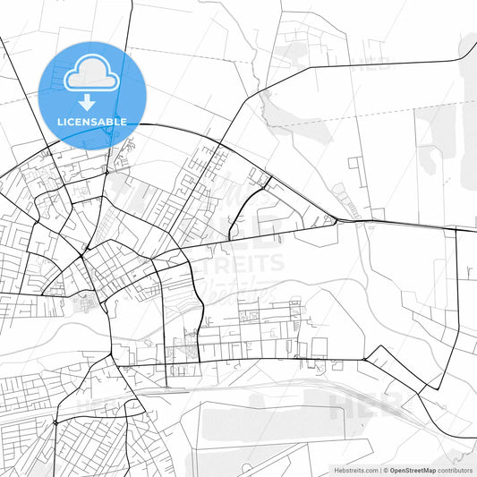 Vector PDF map of Biała Podlaska, Poland