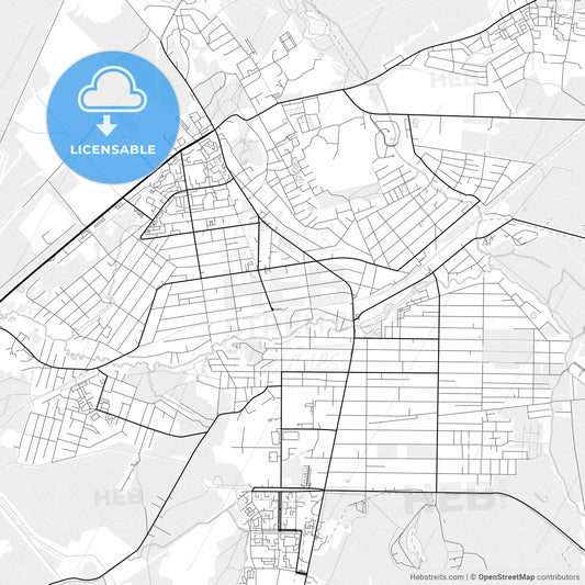 Vector PDF map of Vsevolozhsk, Russia
