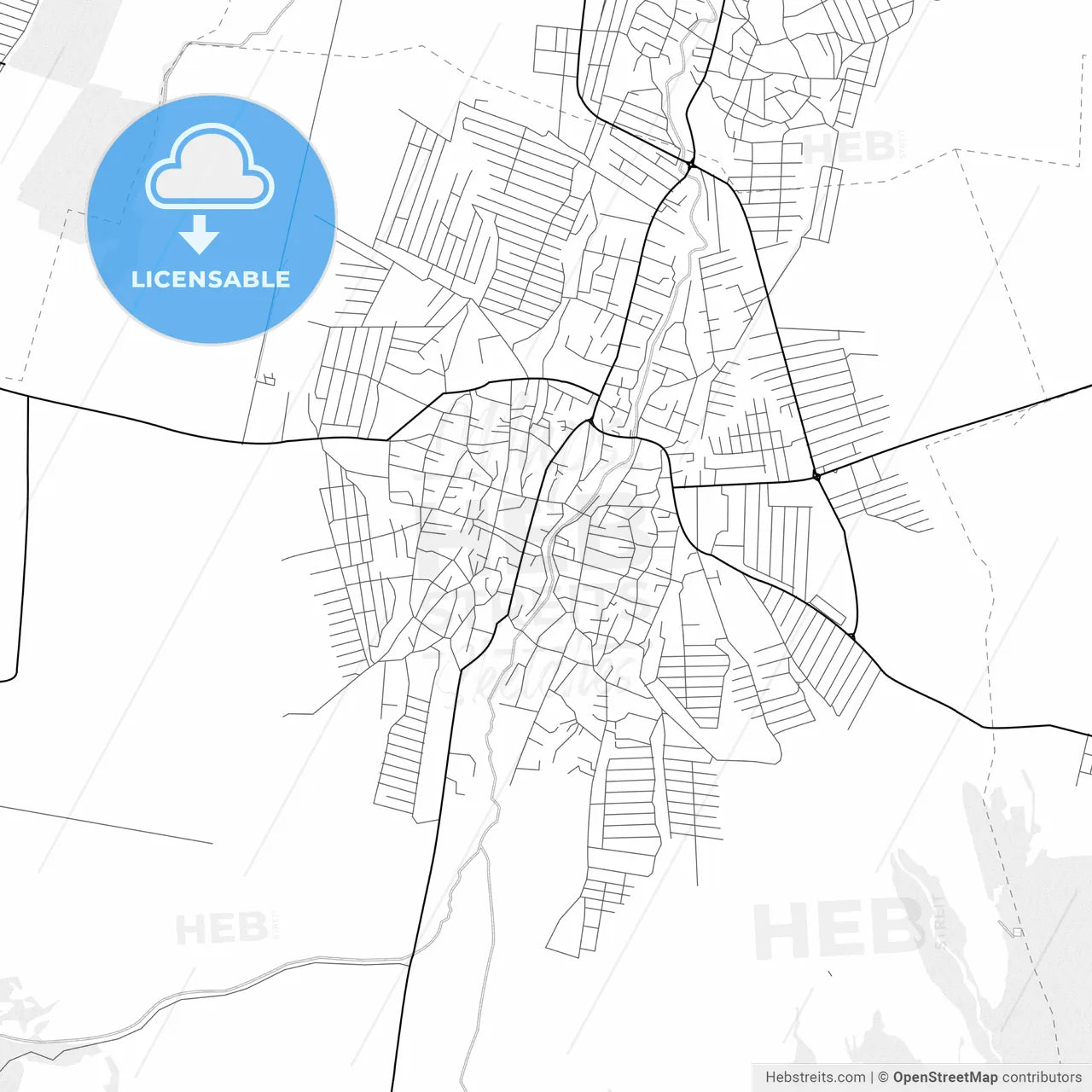 Vector PDF map of Shali, Russia