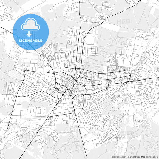 Vector PDF map of Drohobych, Ukraine