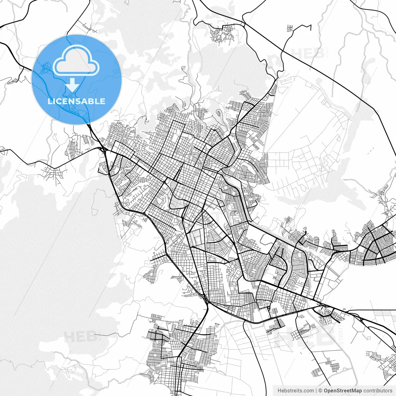 Vector PDF map of Tepic, Mexico