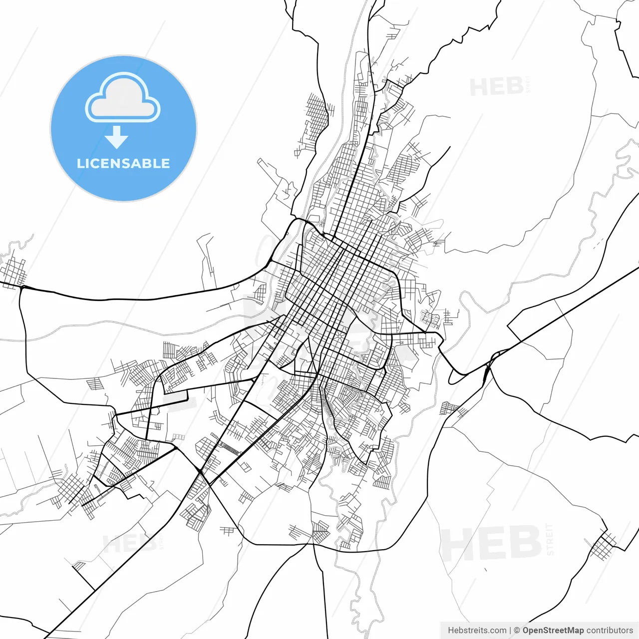 Vector PDF map of Tapachula, Mexico