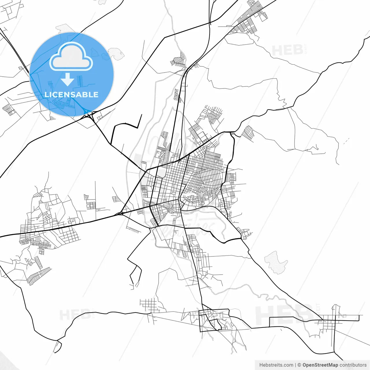 Vector PDF map of Tulancingo, Mexico