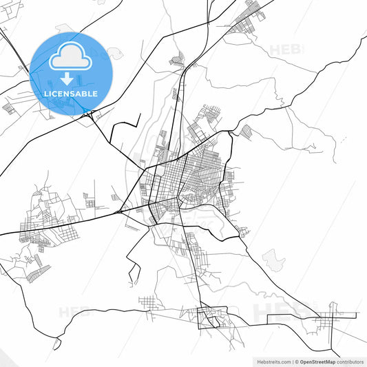 Vector PDF map of Tulancingo, Mexico
