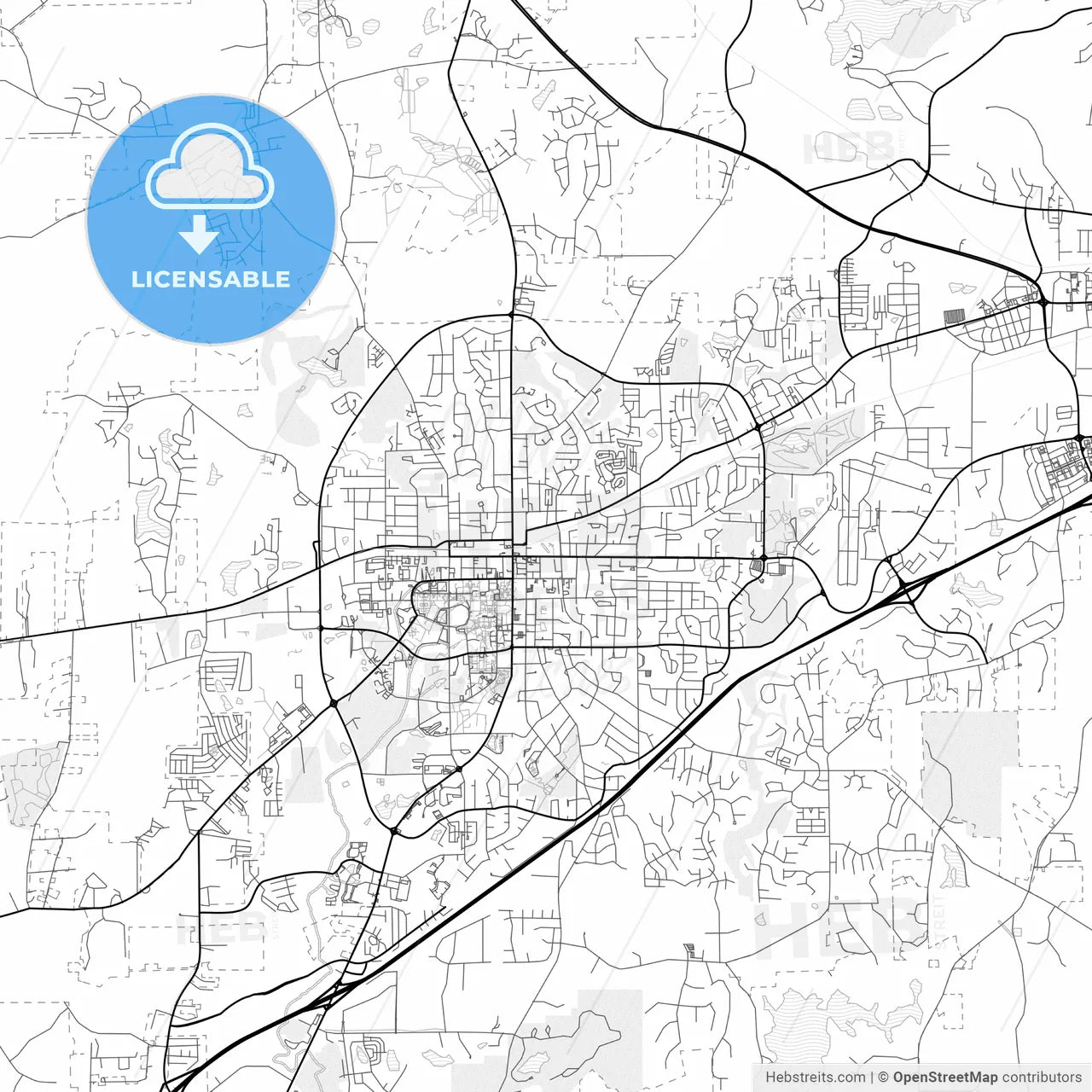 Vector PDF map of Auburn, Alabama, United States