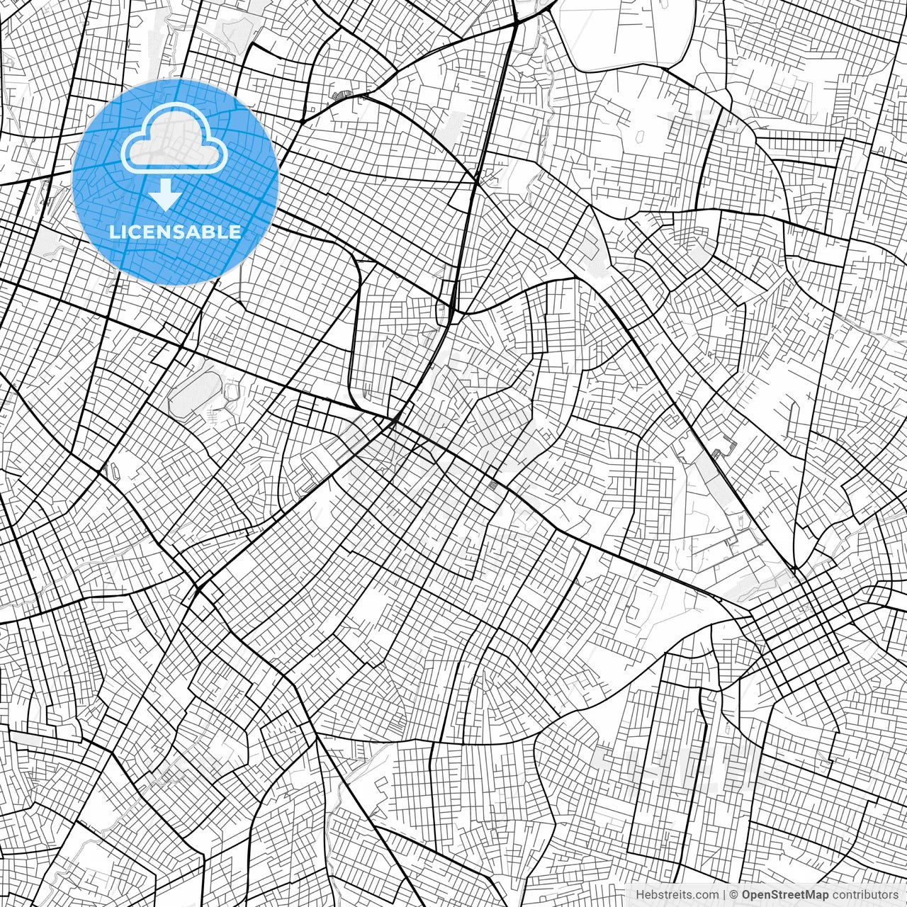 Vector PDF map of Fernando de la Mora, Paraguay