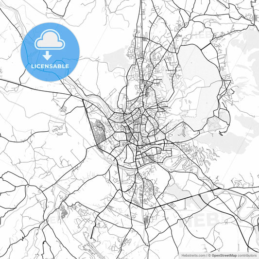 Vector PDF map of Srinagar, India