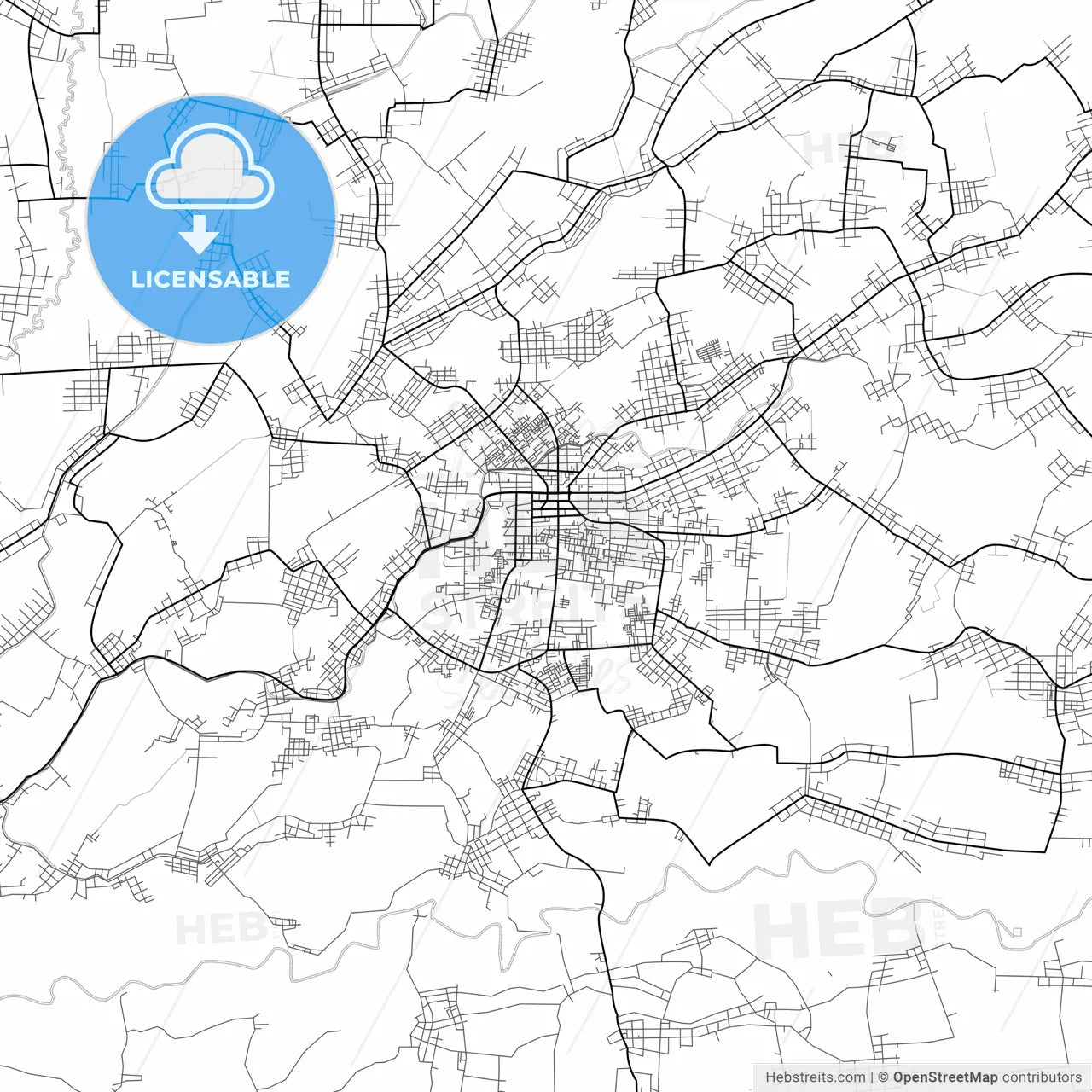 Vector PDF map of Metro, Indonesia