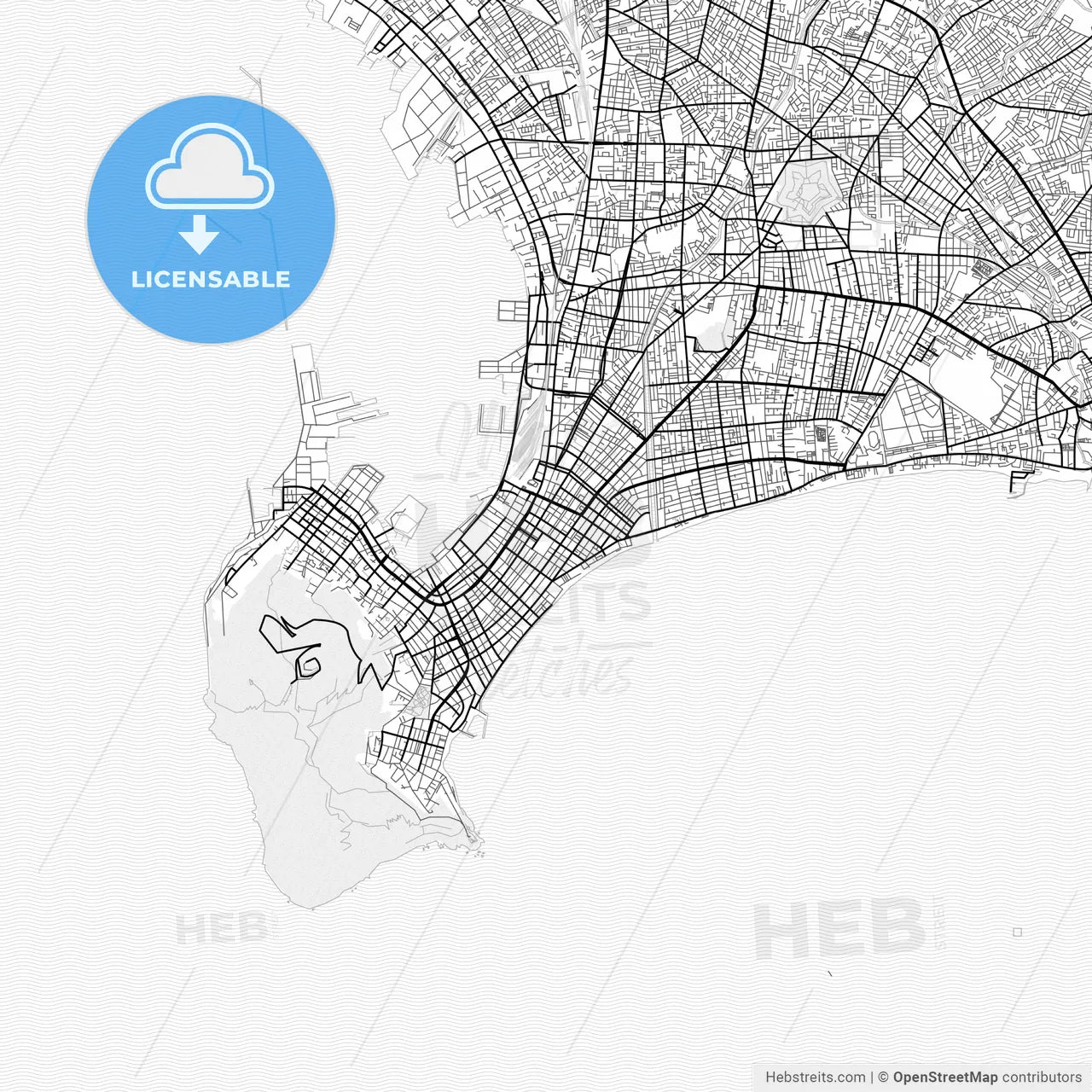 Vector PDF map of Hakodate, Japan
