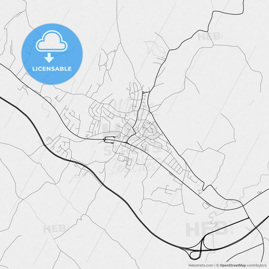 Vector PDF map of Prnjavor, Bosnia and Herzegovina