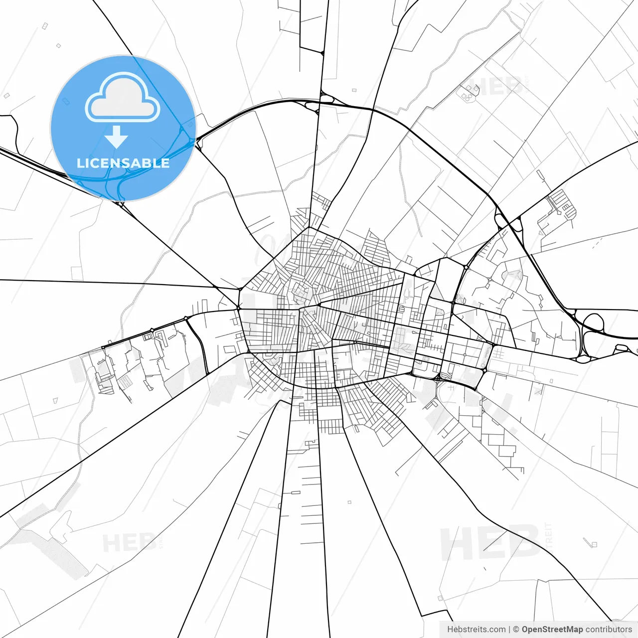 Vector PDF map of Cerignola, Italy