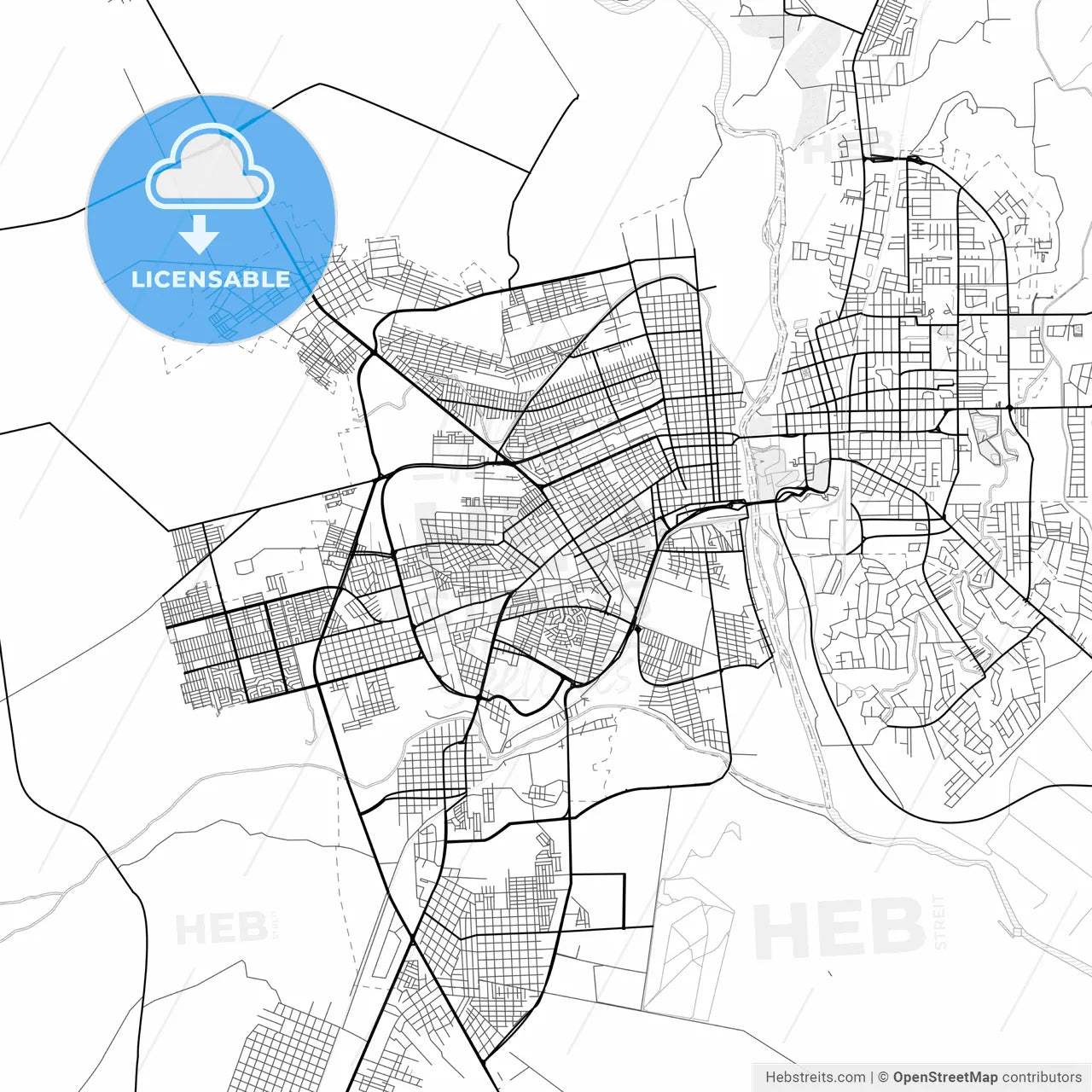 Vector PDF map of Piedras Negras, Mexico