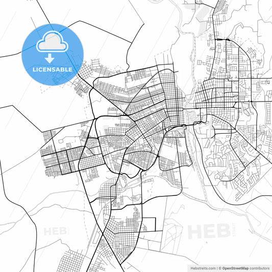 Vector PDF map of Piedras Negras, Mexico