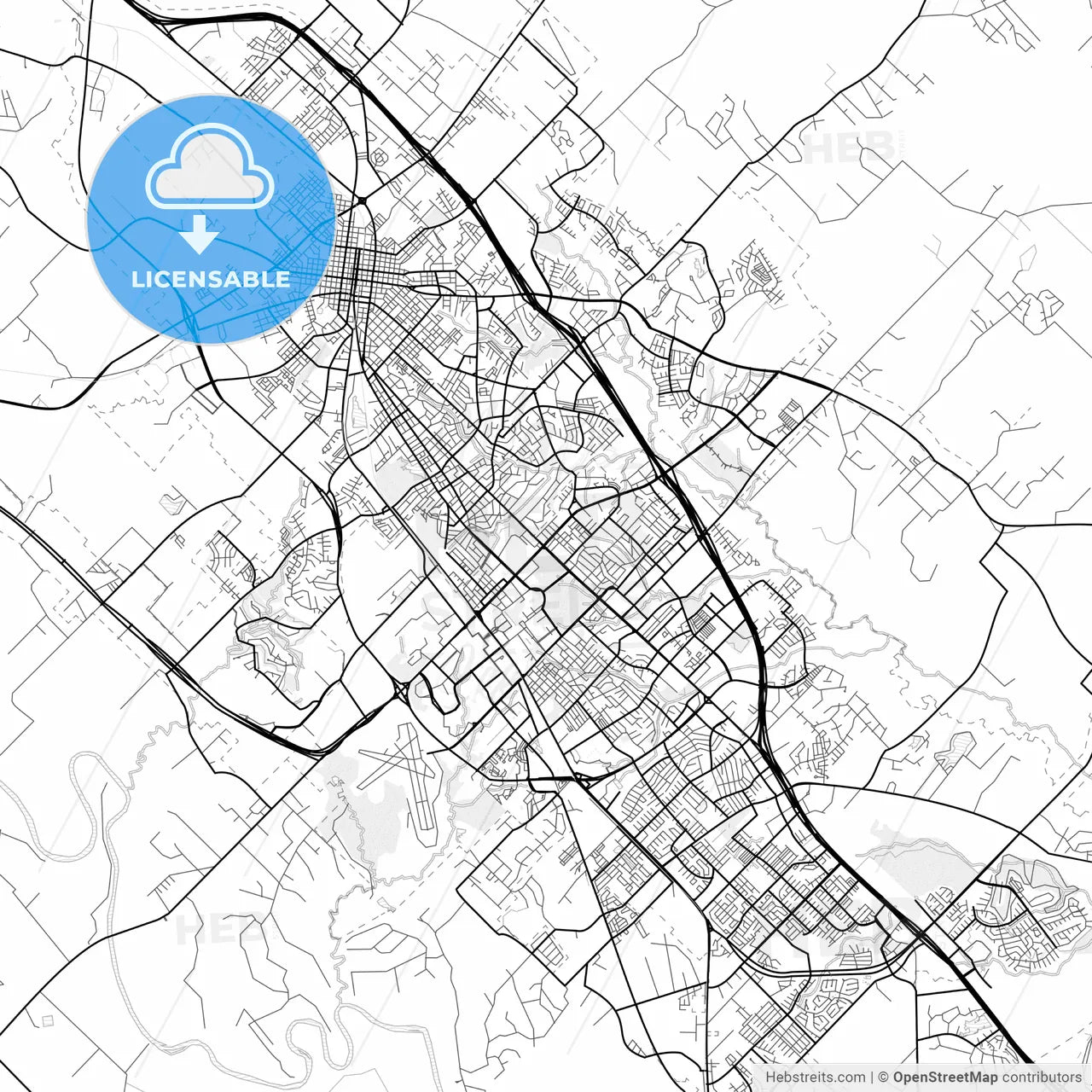 Vector PDF map of College Station, Texas, United States