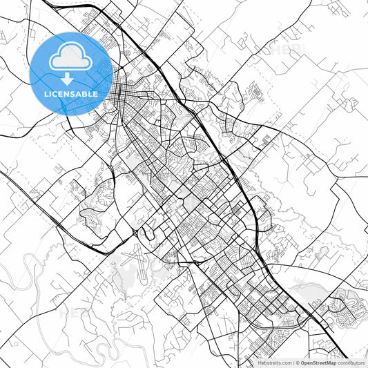Vector PDF map of College Station, Texas, United States