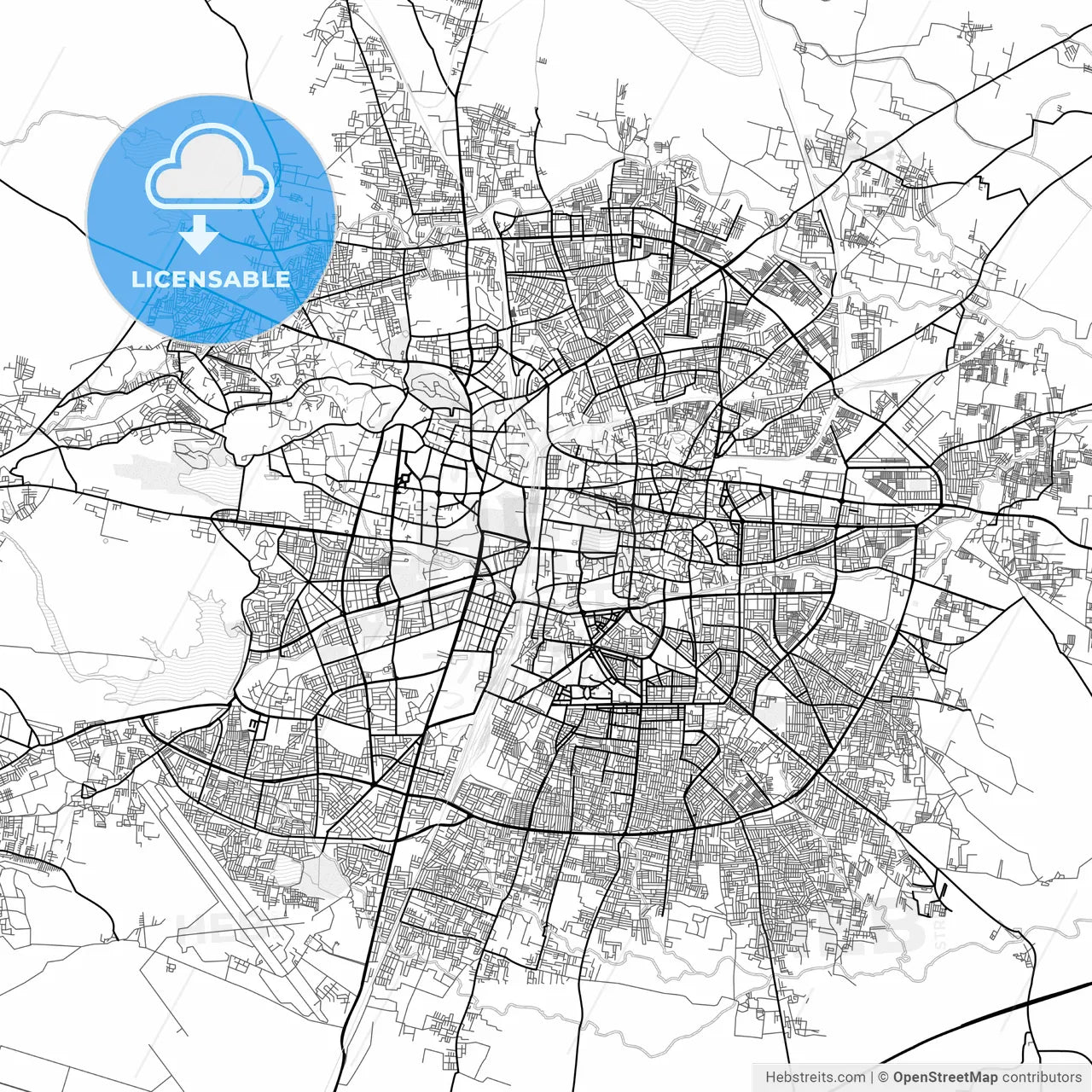 Vector PDF map of Nagpur, India