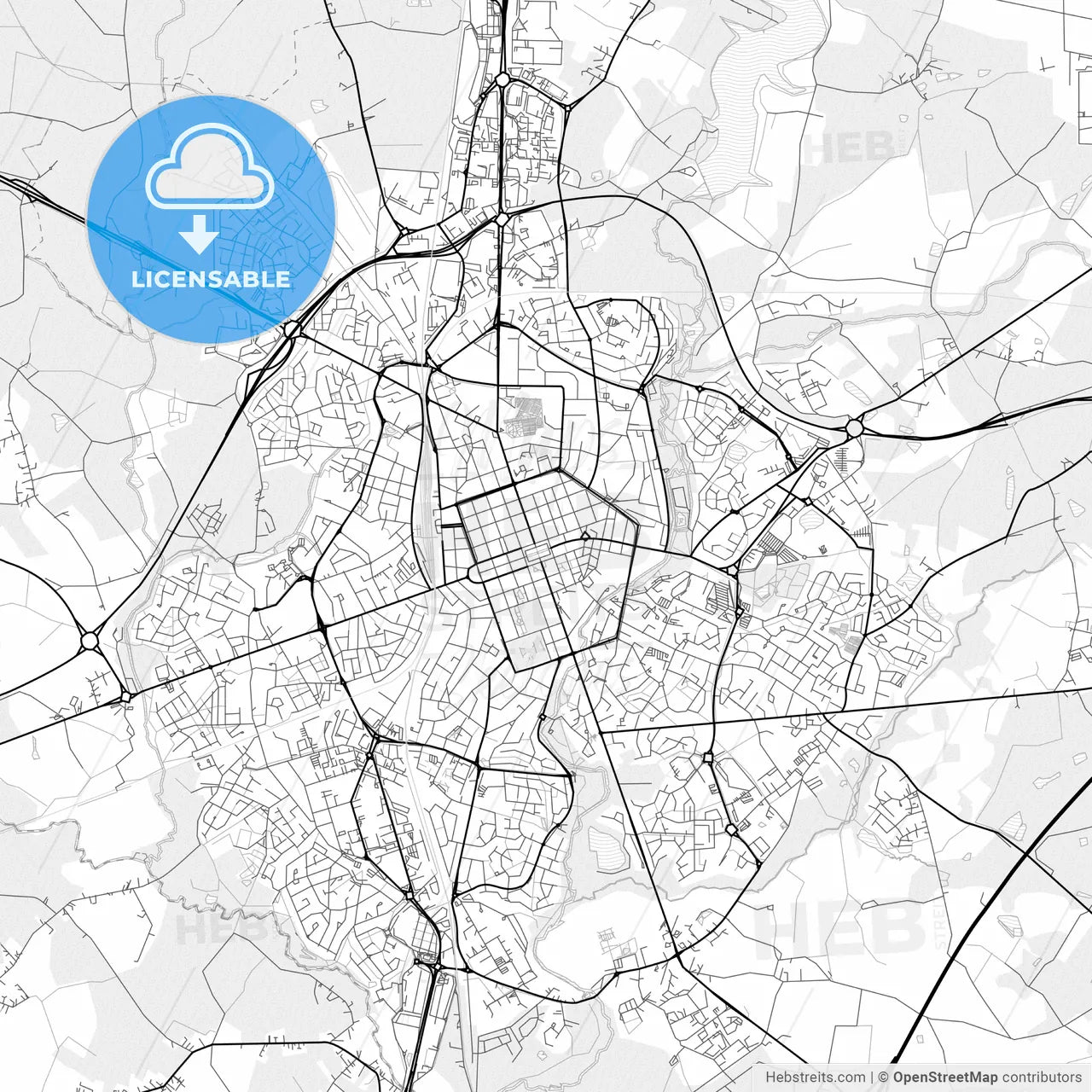 Vector PDF map of La Roche-sur-Yon, France