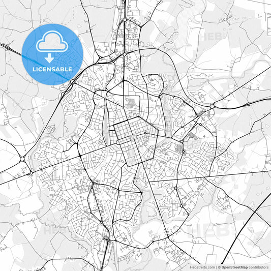 Vector PDF map of La Roche-sur-Yon, France