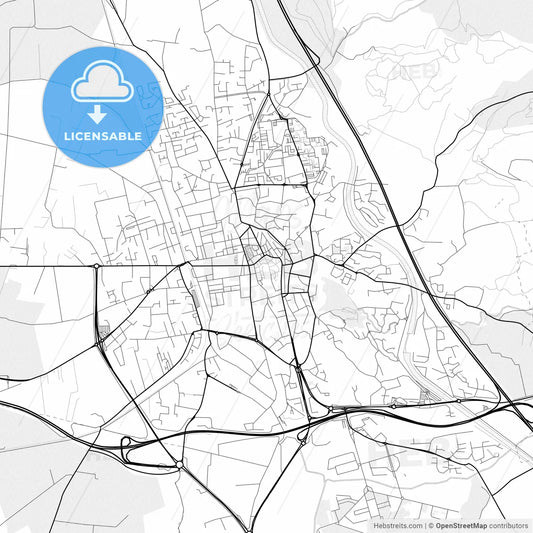 Vector PDF map of Salon-de-Provence, France